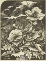 John Nash CBE RA,  British 1893-1977, Sea Poppy; monochrome woodcut on paper, a bookplate, from...