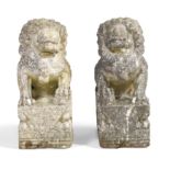 A pair of marble models of Buddhist lions, 20th century, on integral bases, 65cm high (2) Proven...