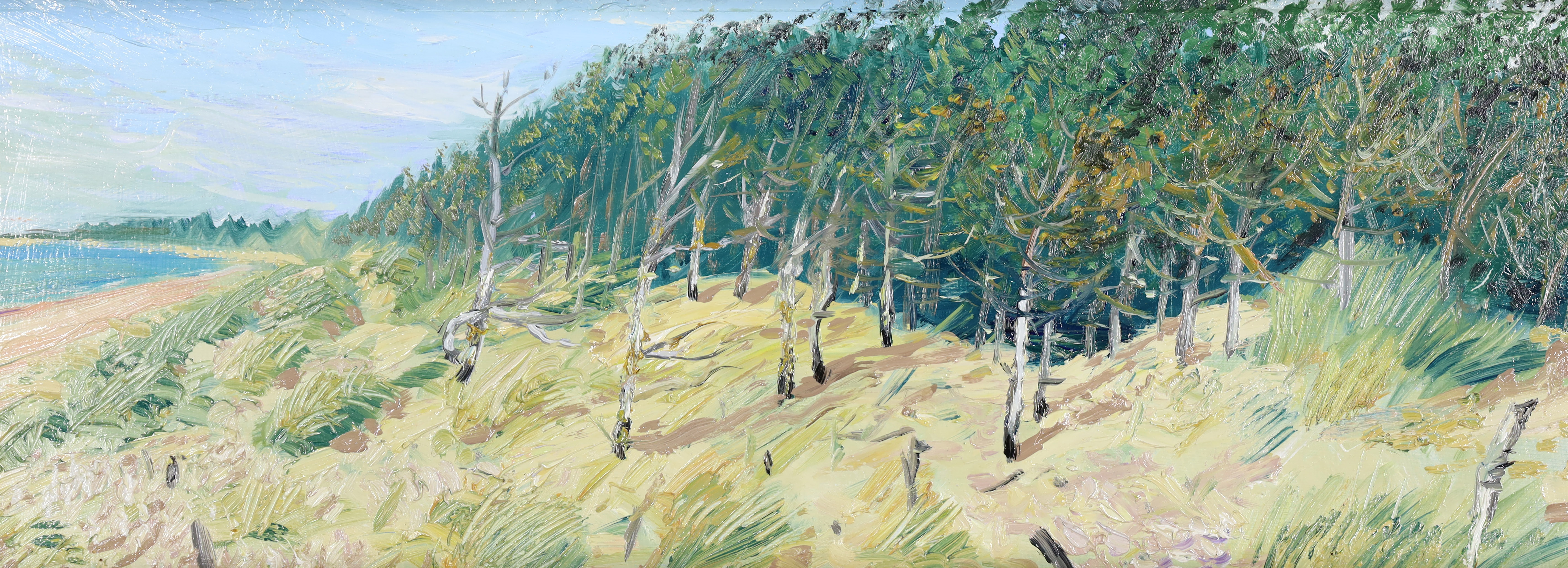 Piers Browne,  British b.1949 -  Newborough Forest, Anglesey;  oil on board, 21.5 x 60 cm (ARR)...