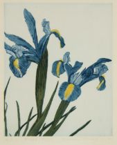 Norman Stevens,  British 1937-1988 -  First Iris, 1979;  etching on paper, signed, titled, date...