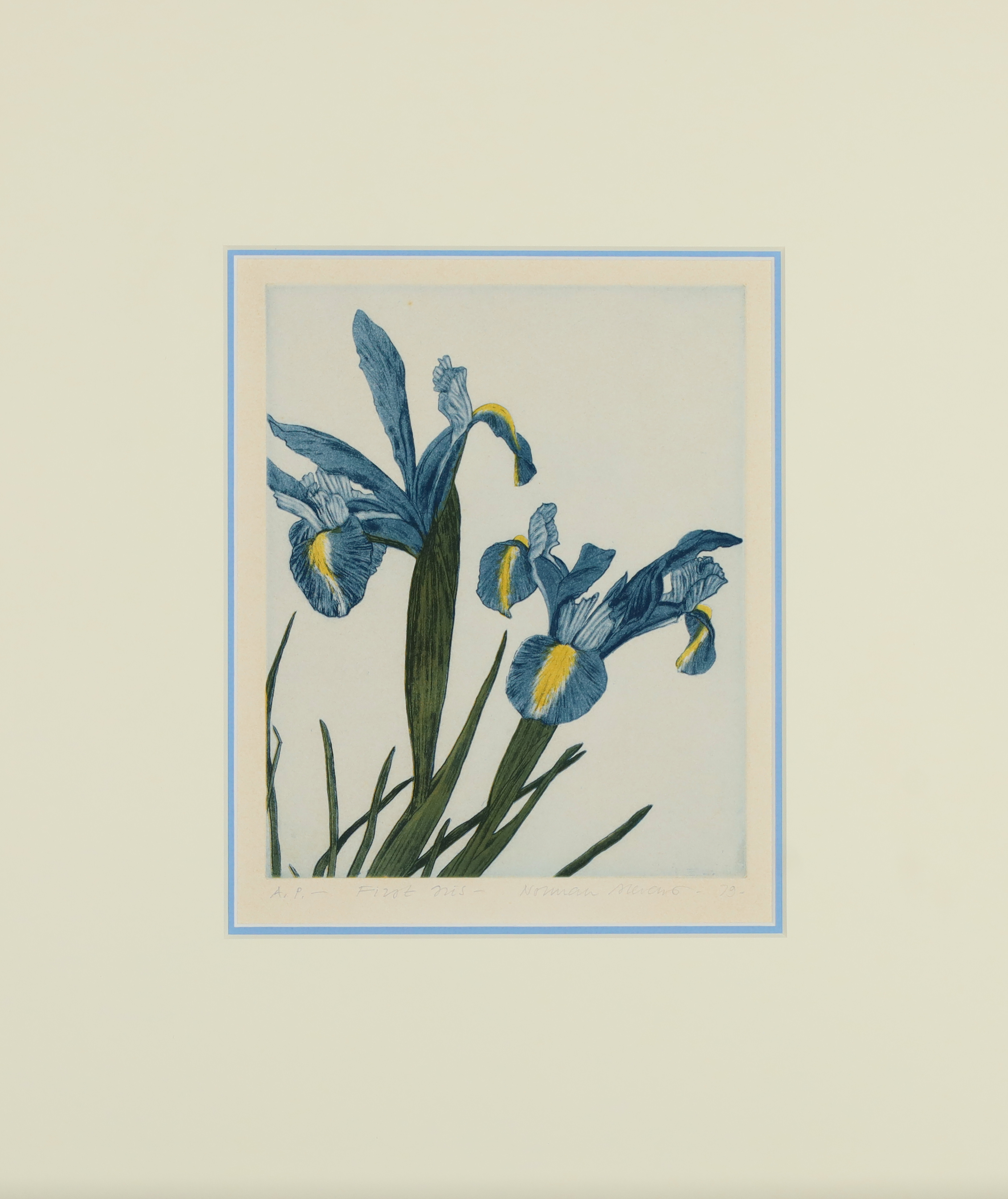 Norman Stevens,  British 1937-1988 -  First Iris, 1979;  etching on paper, signed, titled, date... - Image 2 of 2