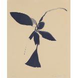 Lourdès Castro,  Portuguese 1930-2022 -  Datura;  lithograph on paper, signed and editioned 65/...