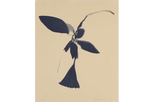 Lourdès Castro,  Portuguese 1930-2022 -  Datura;  lithograph on paper, signed and editioned 65/... - Image 1 of 2