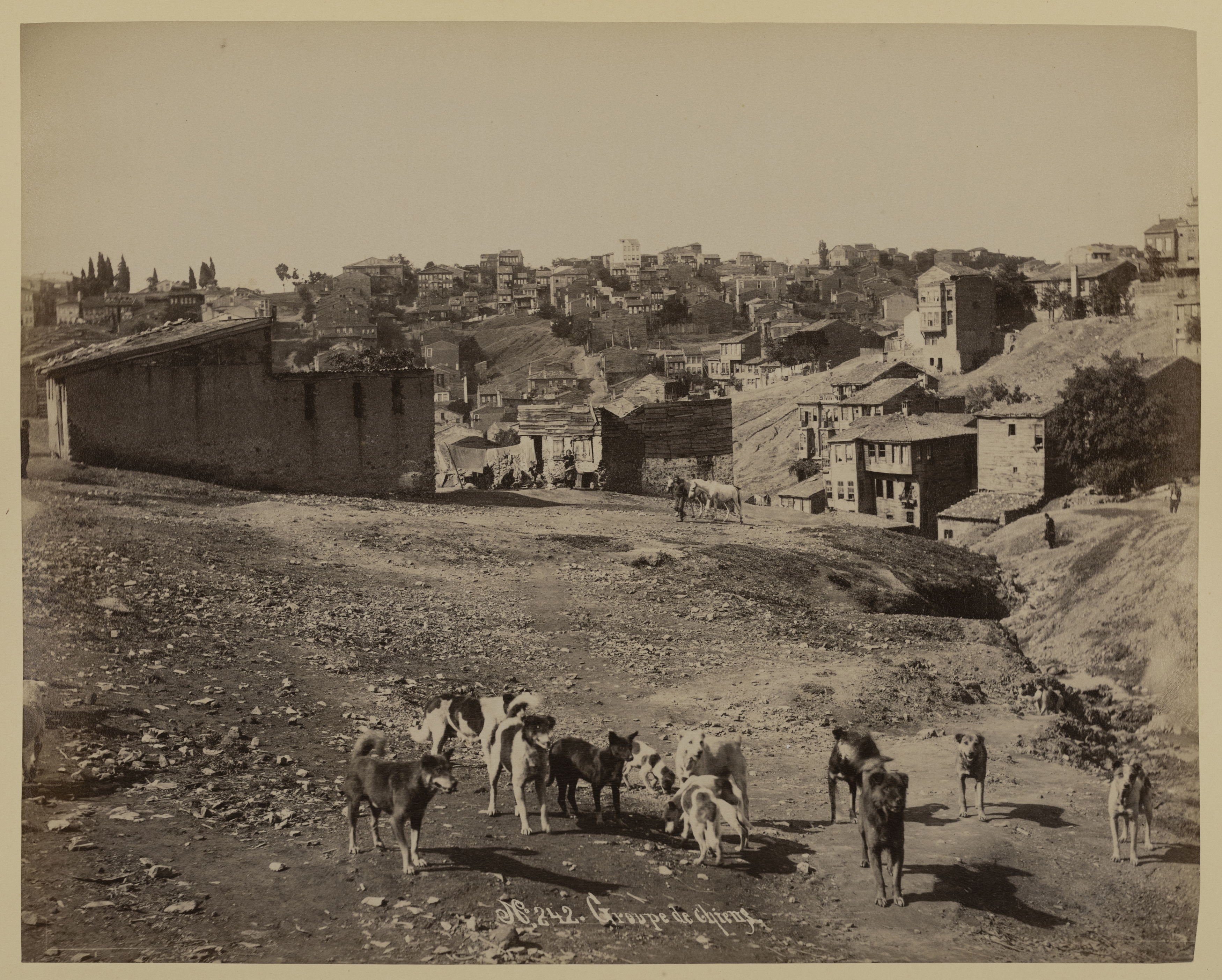 An album of silver prints of views of the Middle East, Late 19th century/first half 20th century... - Image 2 of 8