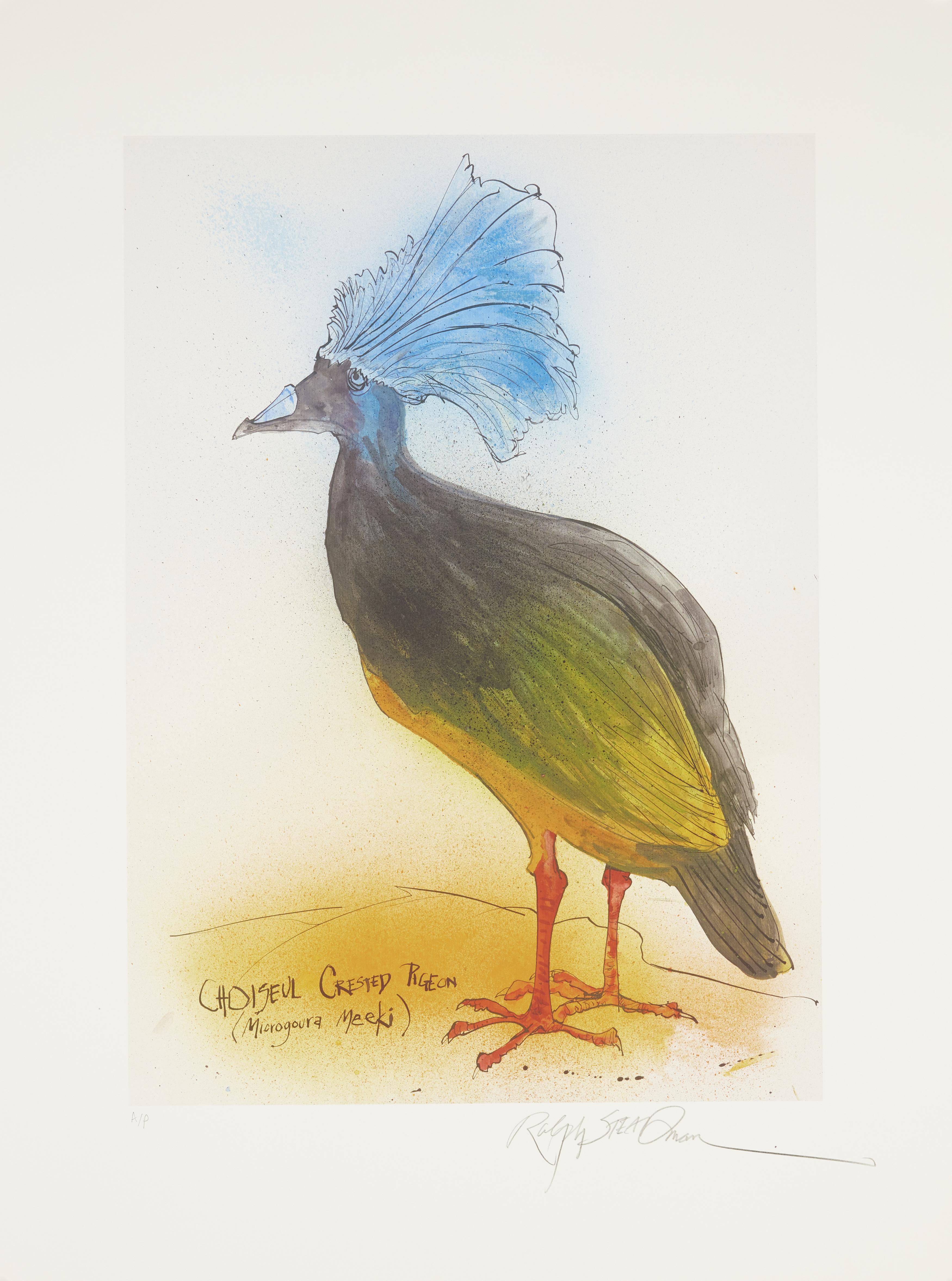 Ralph Steadman, British b.1936-  Choiseul Crested Pigeon, 2011; St Helena Giant Hoopoe, 2011; Ja... - Image 6 of 6