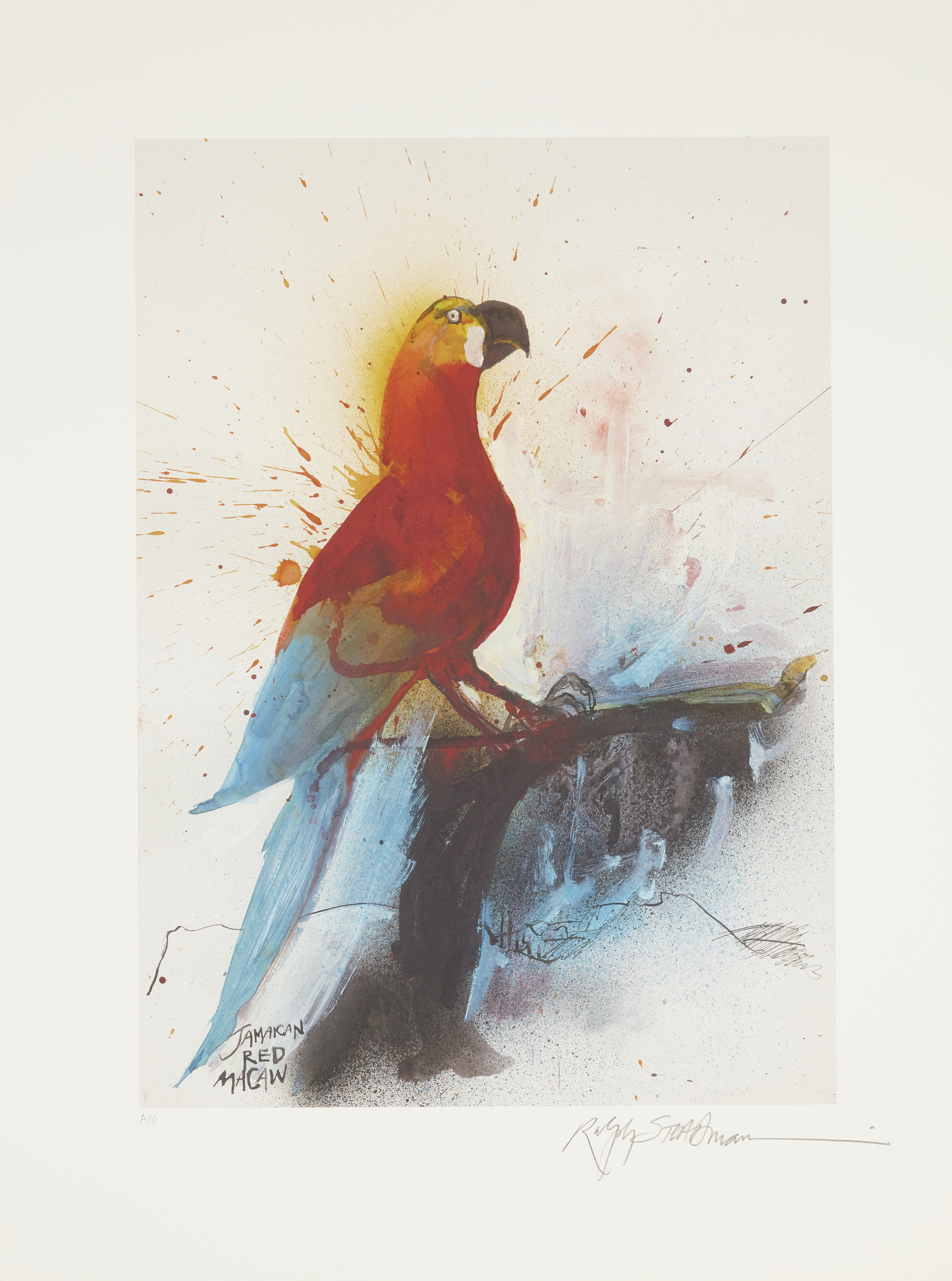 Ralph Steadman, British b.1936-  Choiseul Crested Pigeon, 2011; St Helena Giant Hoopoe, 2011; Ja... - Image 4 of 6