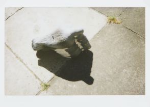 Cornelia Parker OBE RA, British b.1956- Untitled (Decoy Pigeons); unique polaroid print on phot...