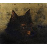 British School,  19th century-  Portraits of a terrier and of a sheep dog;  oils on board, the ...