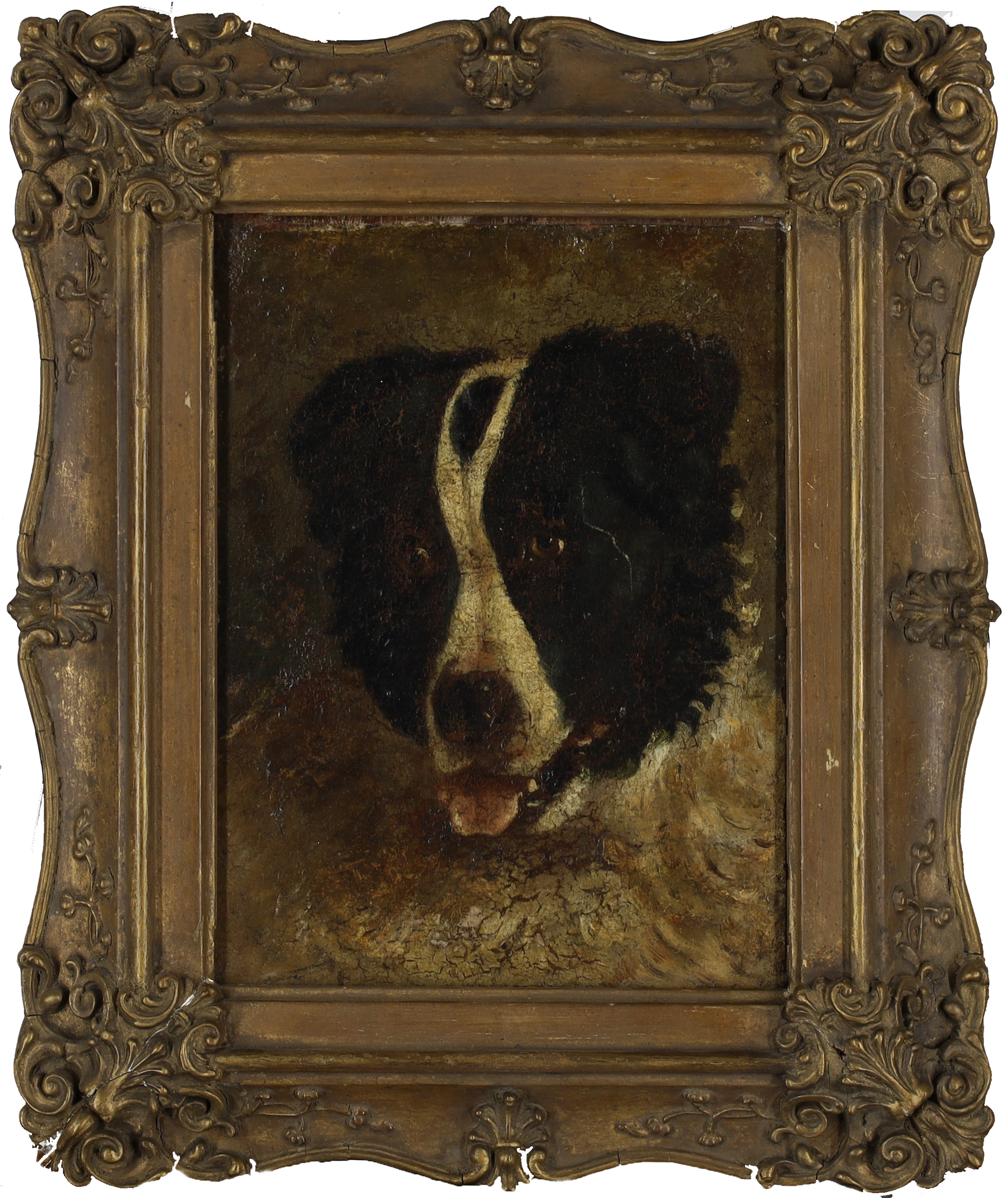 British School,  19th century-  Portraits of a terrier and of a sheep dog;  oils on board, the ... - Image 3 of 3