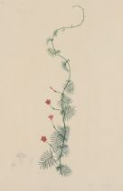 British School,  19th century-  Botanical studies;  pencil and watercolour on paper, each indis...