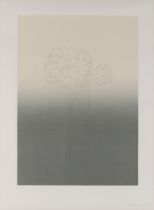 Derrick Greaves,  British 1927-2002,  Four Grey Roses, 1984;  screenprint on wove,  signed, dat...