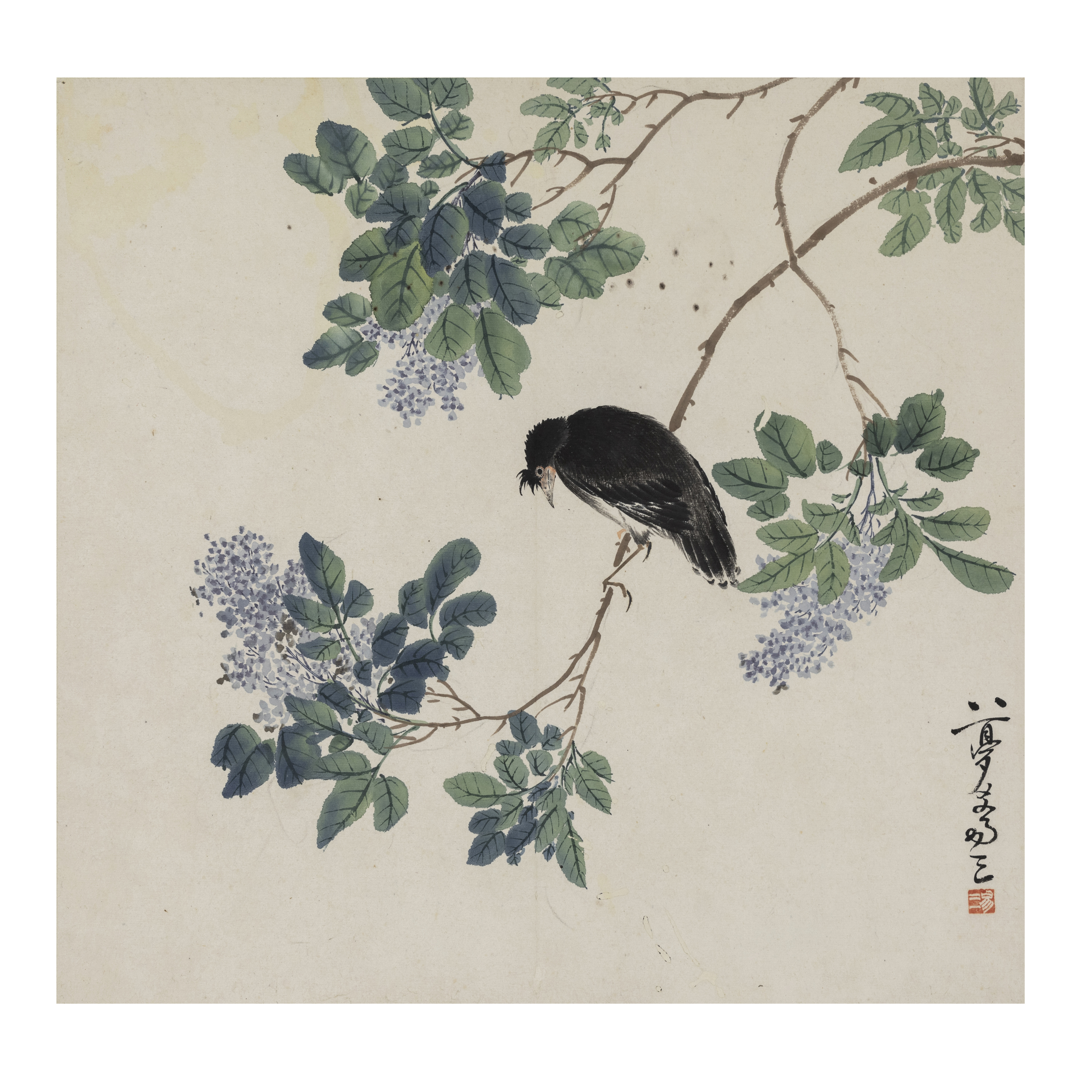 Yi San (late Qing dynasty) 'Crested myna' Ink and colour on paper mounted as album leaf, signed...
