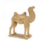 A Chinese straw glazed figure of a camel Tang dynasty Modelled standing four square with head r...