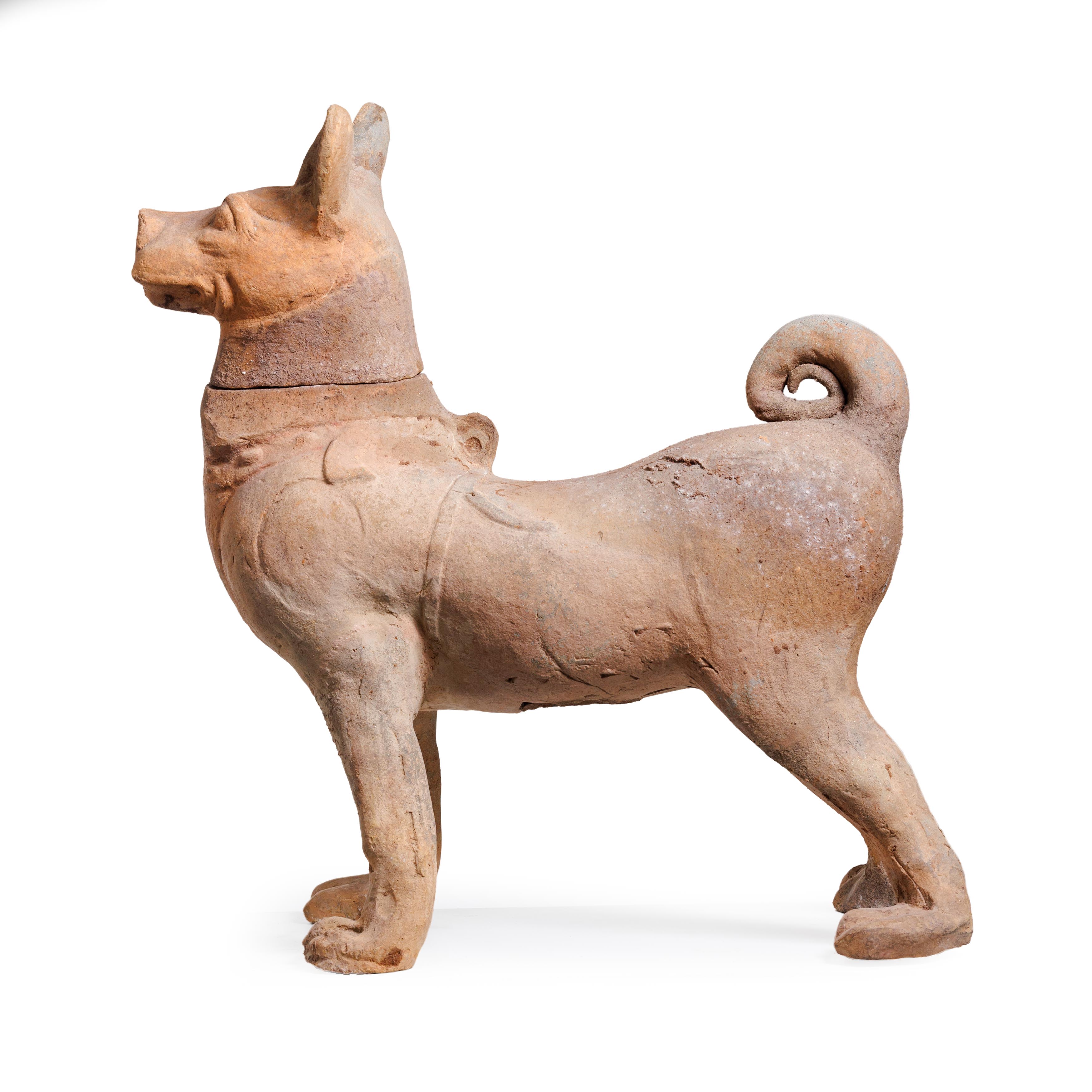 A Chinese pottery figure of a hound Tang dynasty Modelled standing four square, with detachable... - Image 2 of 3