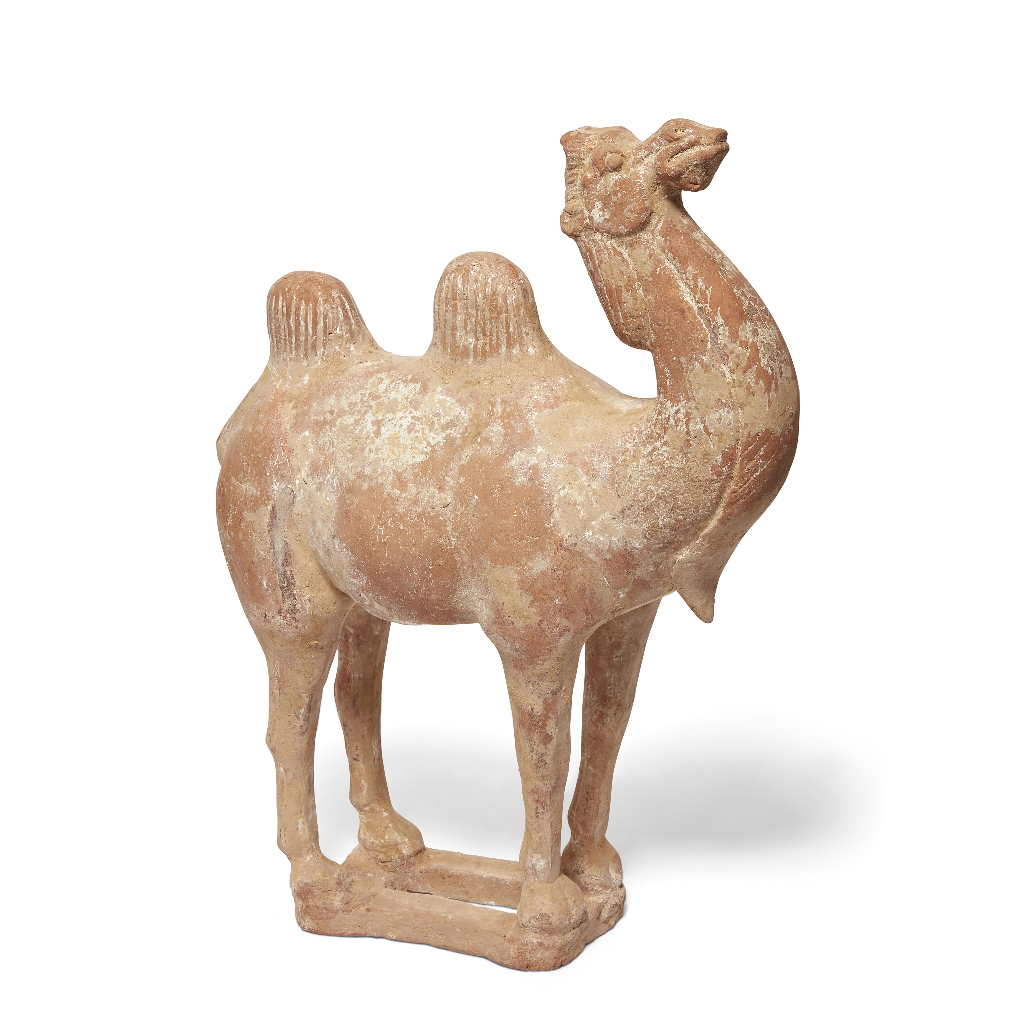 A Chinese pottery figure of a camel Tang dynasty The robust animal standing four-square on a pi...