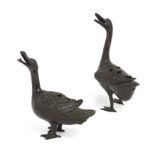 Two Chinese bronze duck form censers, Ming dynasty, 17th century, Each with neck raised and mouth...