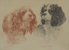 NORMAN HOAD, Spaniels, framed and glazed. 35 x 25 cm.