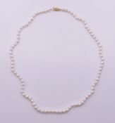 A pearl bead necklace with a 14 ct gold clasp. 44 cm long.
