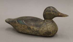 A late 19th/early 20th century painted wooden decoy duck. 39 cm long.