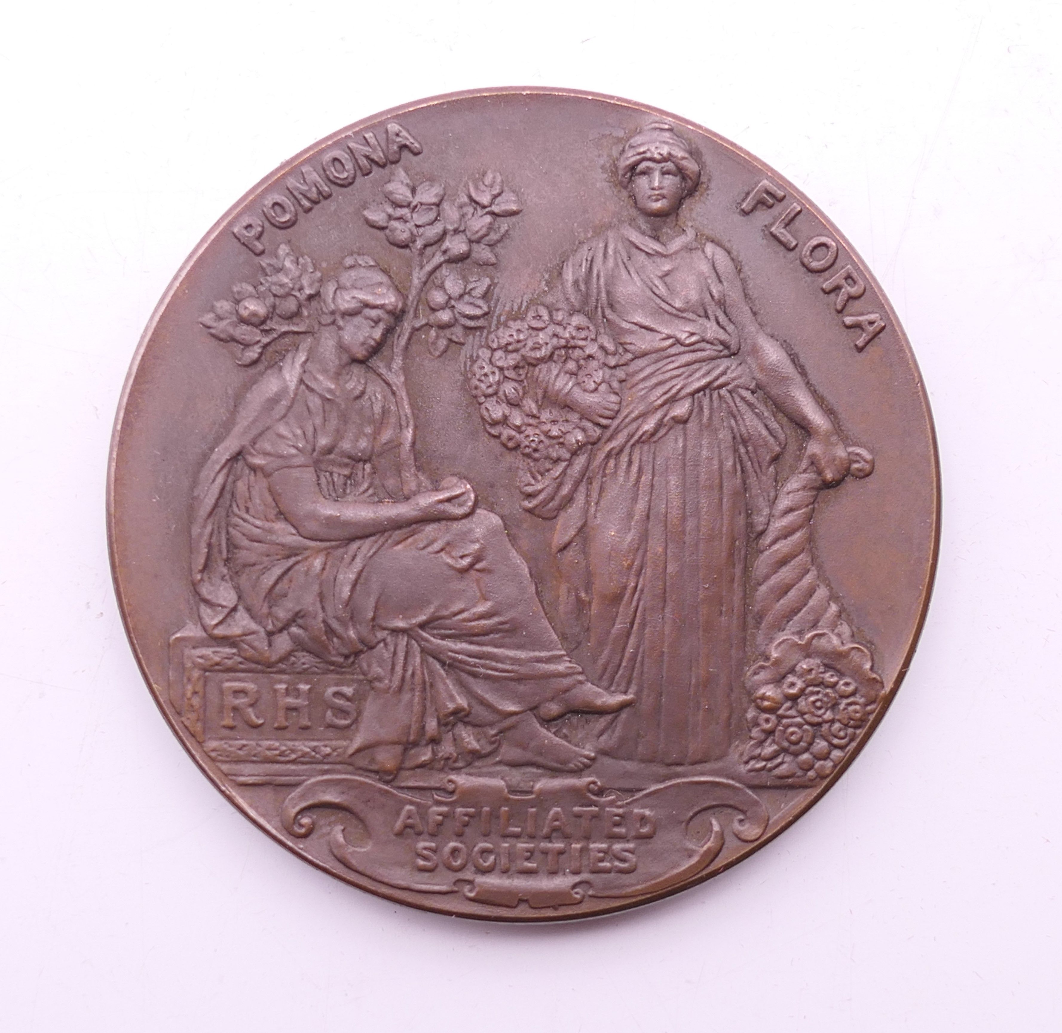 Three various medallions, including The Royal Life Saving Society. The largest 4.5 cm diameter. - Image 6 of 11