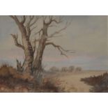 MYRA TALFORD, Autumnal Country View, watercolour, framed and glazed. 32.5 x 23.5 cm.