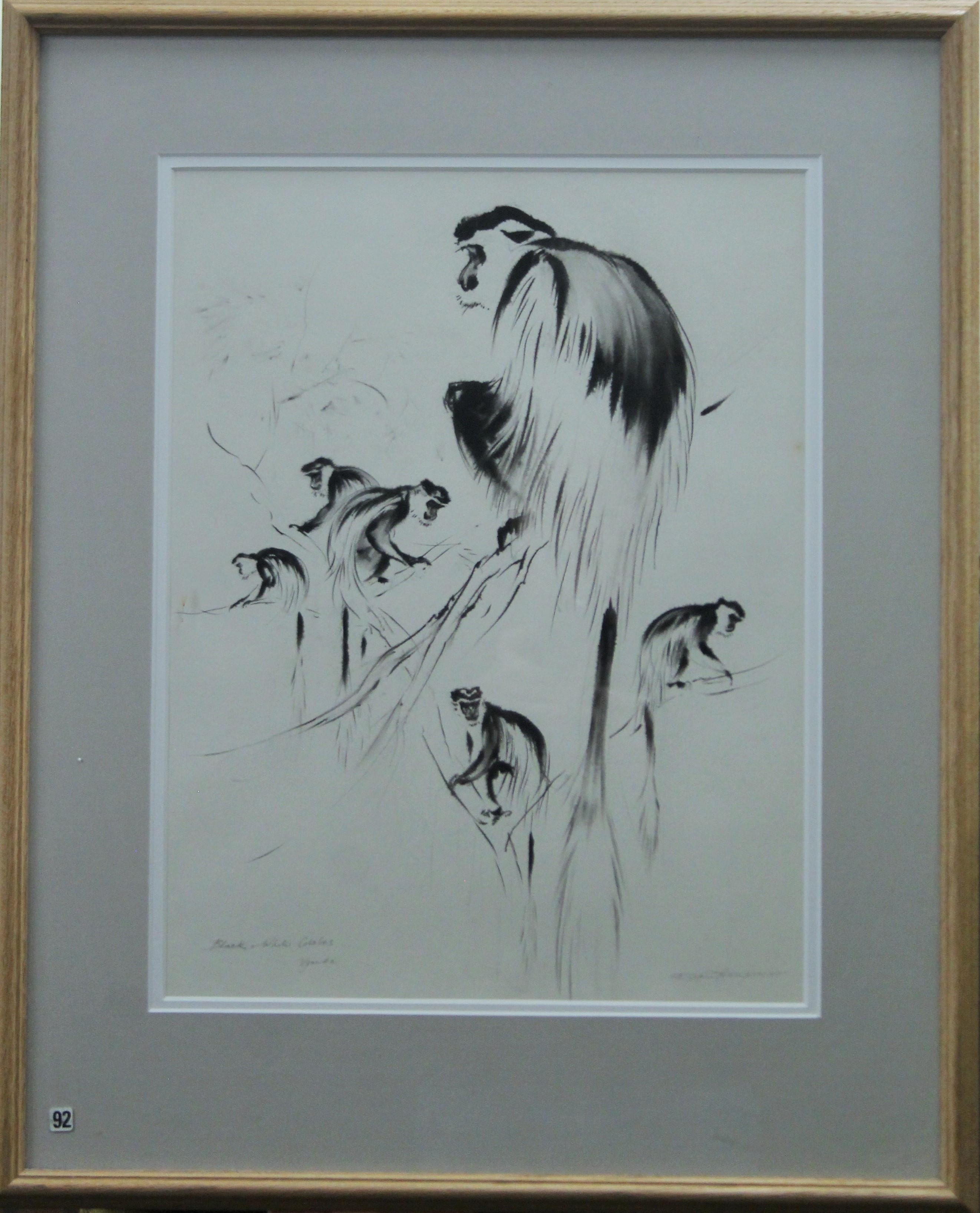 THOMPSON, RALPH SHILLITO (1913-2009) British (AR), Black and White Colobus, Uganda, ink, signed, - Image 2 of 3