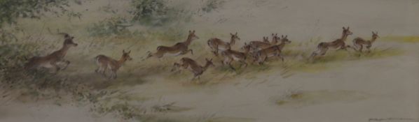 THOMPSON, RALPH SHILLITO (1913-2009) British (AR), Gazelles, watercolour and ink, signed.