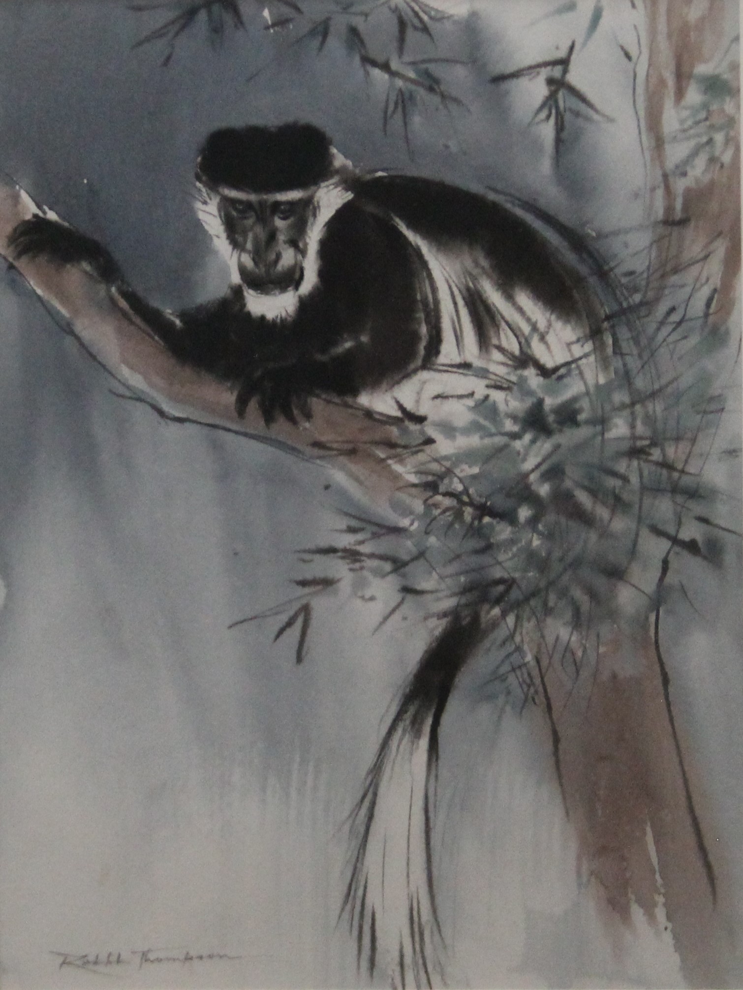 THOMPSON, RALPH SHILLITO (1913-2009) British (AR), Columbus Monkey, watercolour, signed,
