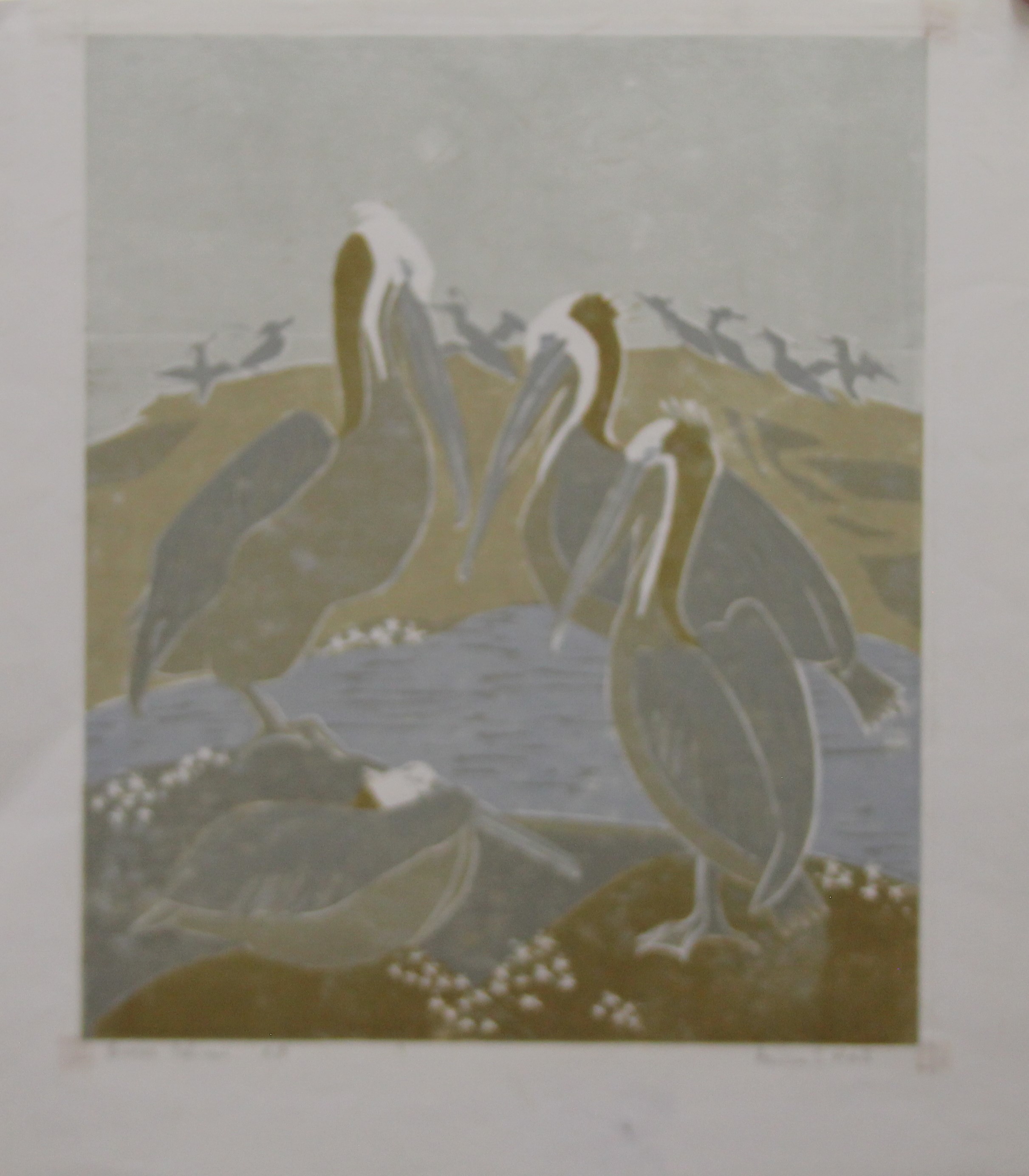 HALL, PAULINE SOPHIE (1918-2007) British (AR), Brown Pelicans, woodcut on handmade paper, - Image 2 of 3