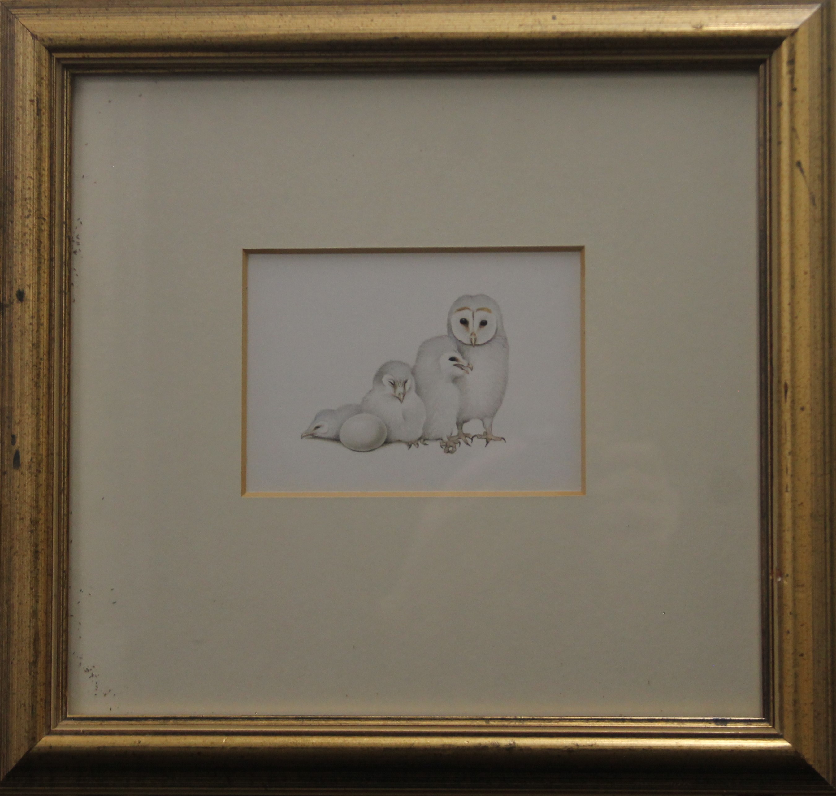 BOYER, TREVOR, (born 1948) British (AR), Owl chicks, watercolour, framed and glazed. 10 x 14 cm. - Image 2 of 2