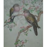 HOPKING, NOEL HUBERT (1883-1964) British (AR), Turtle Doves, watercolour, signed, framed and glazed,