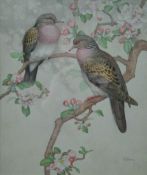 HOPKING, NOEL HUBERT (1883-1964) British (AR), Turtle Doves, watercolour, signed, framed and glazed,