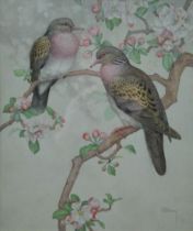 HOPKING, NOEL HUBERT (1883-1964) British (AR), Turtle Doves, watercolour, signed, framed and glazed,