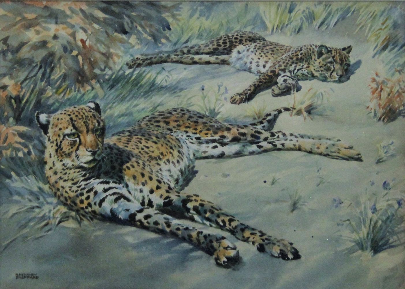 Timed Auction - Wildlife Paintings, Pictures and Prints