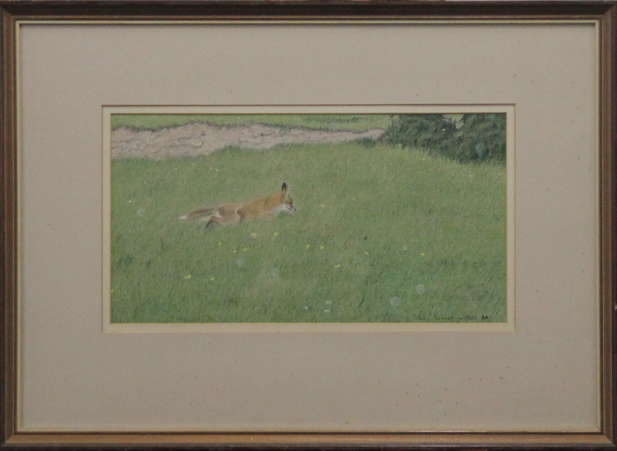 REANEY, JOHN SWLA (1987-2019) British (AR), Fox, Pastel, signed and dated 1988, framed and glazed. - Image 2 of 3
