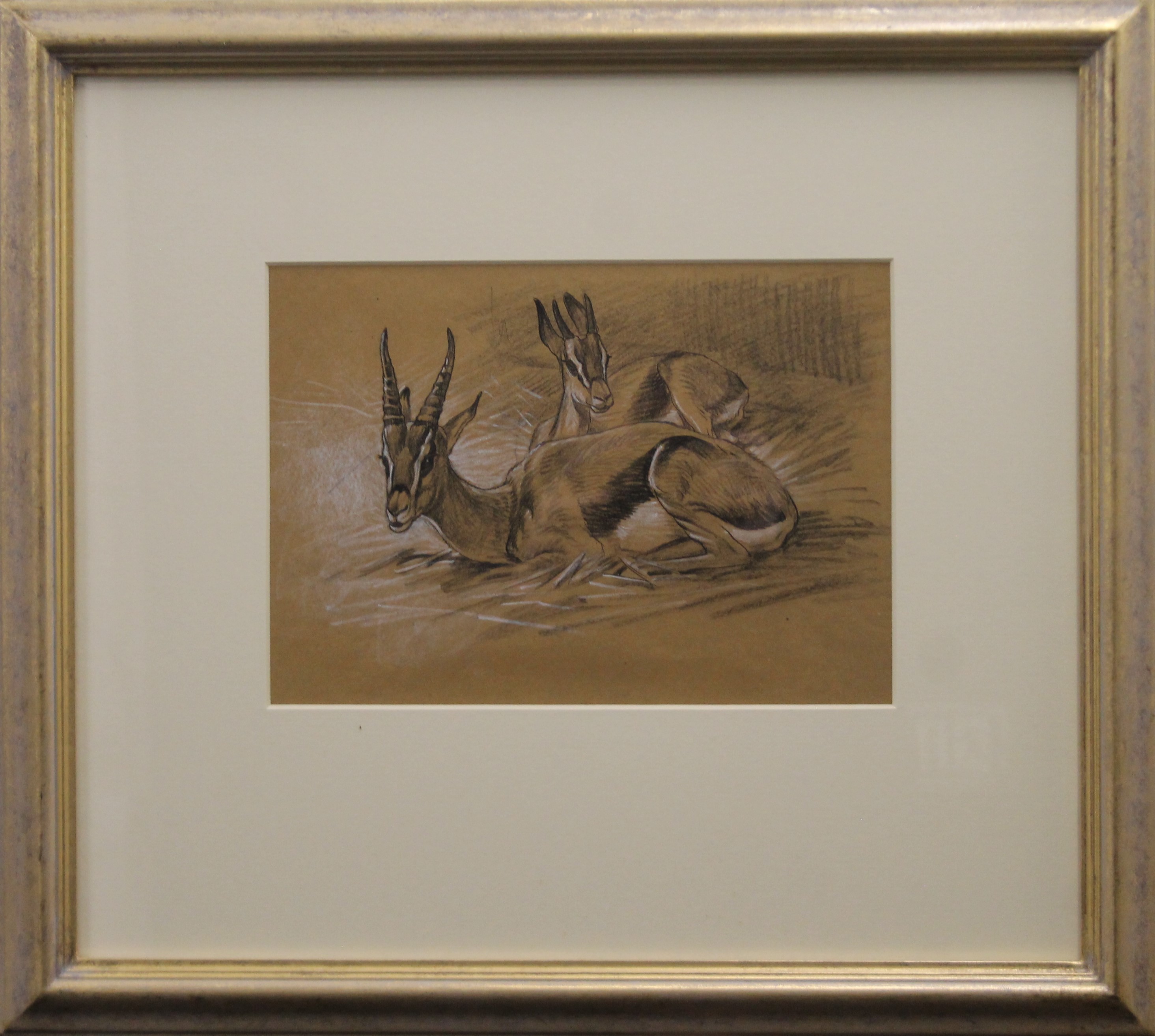 SHEPPARD, RAYMOND (1913-1958) British (AR), Thompson Gazells, crayon, framed and glazed. 19 x 27 cm. - Image 2 of 2