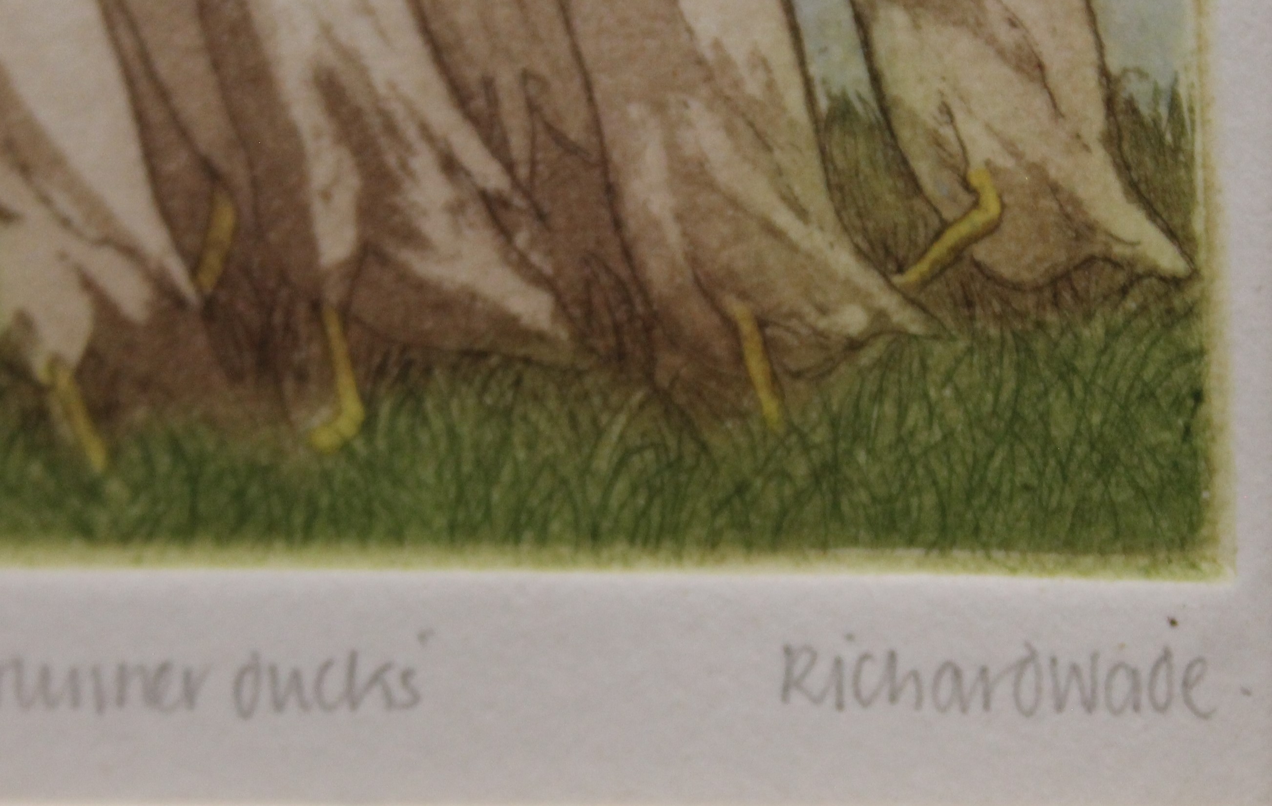 WADE, RICHARD, Indian Runner Ducks, a signed limited edition print, numbered 53/200, signed. - Bild 3 aus 3