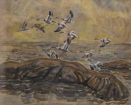 CONTINENTAL (Possibly Dutch), Shelduck and Pintail, watercolour, possibly dated 1924,
