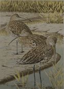 TENNENT, JOHN (born 1926) British (AR), Curlew, a signed limited edition silk screen print,