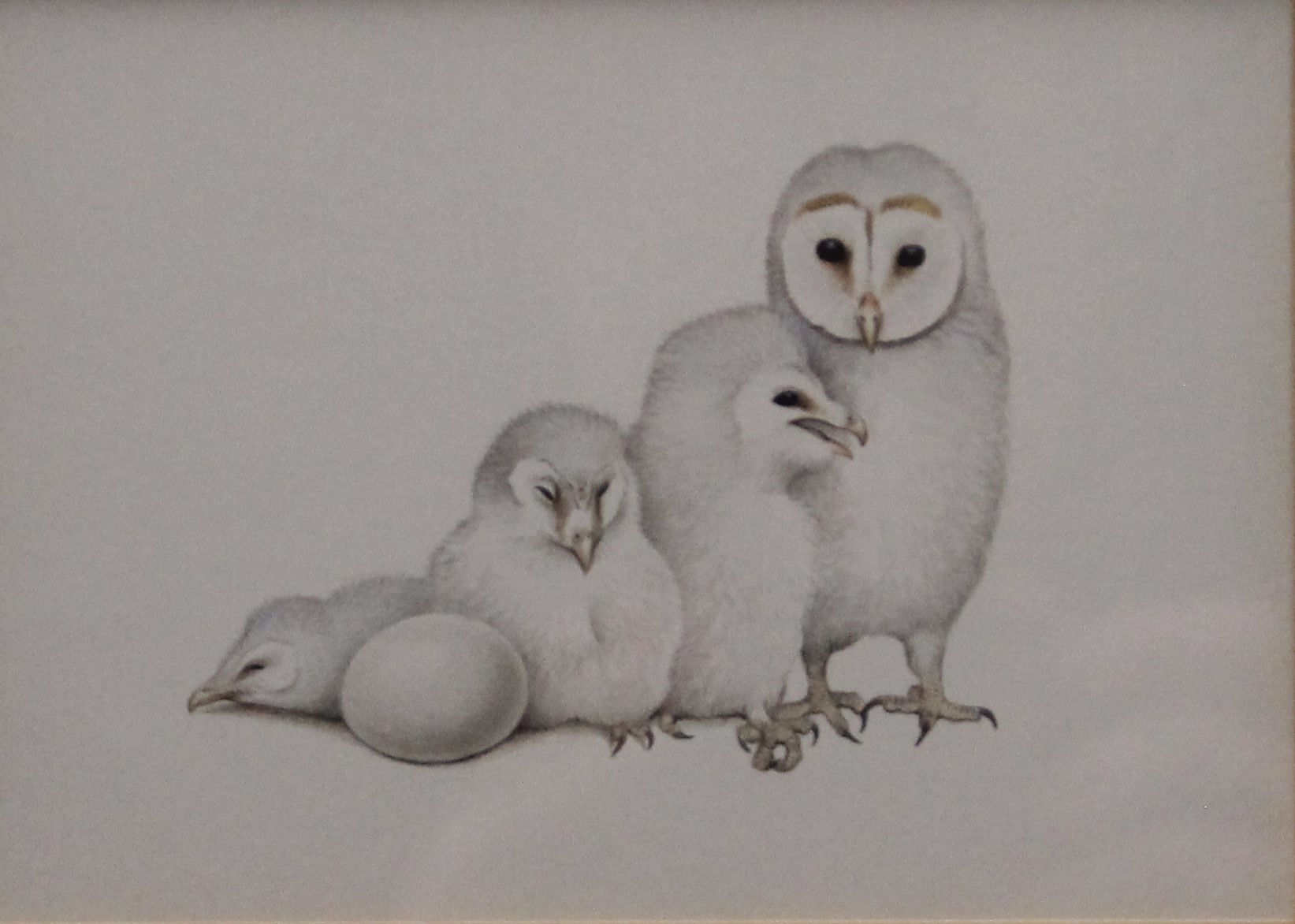 BOYER, TREVOR, (born 1948) British (AR), Owl chicks, watercolour, framed and glazed. 10 x 14 cm.