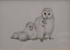 BOYER, TREVOR, (born 1948) British (AR), Owl chicks, watercolour, framed and glazed. 10 x 14 cm.