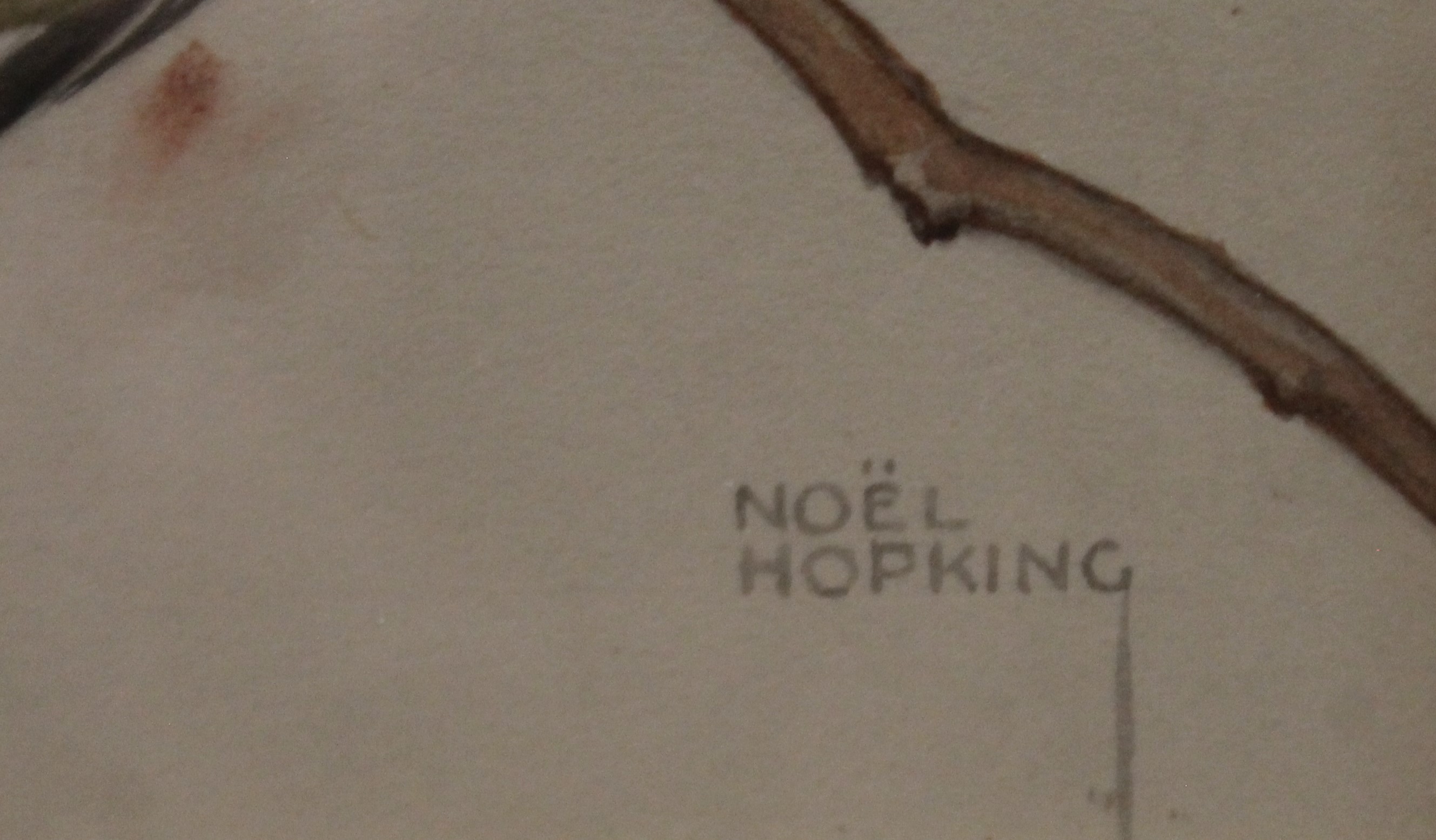 HOPKING, NOEL HUBERT (1883-1964) British (AR), Coal Tits on Wisteria, watercolour, signed, - Image 3 of 4