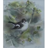 JONSSON, LARS, (born 1952) Swedish, Pied Flycatcher, a signed limited edition lithographic print,