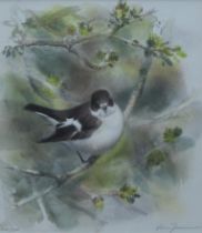 JONSSON, LARS, (born 1952) Swedish, Pied Flycatcher, a signed limited edition lithographic print,