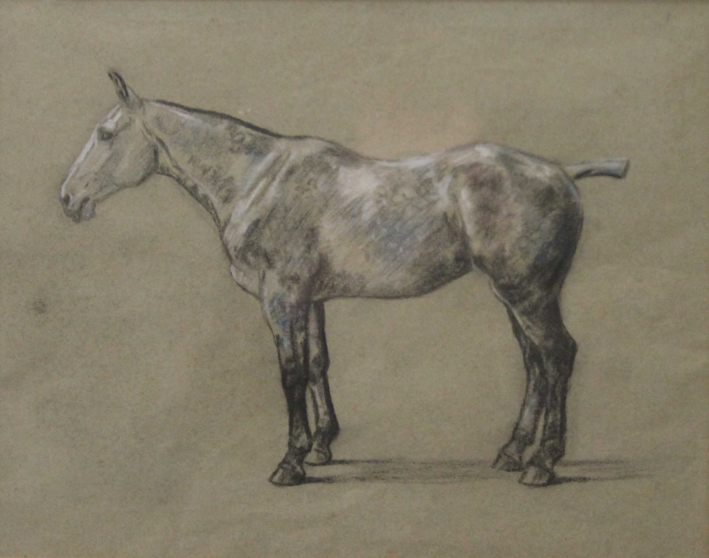 BIEGEL, PETER (1913-1989) British (AR), Horse, pastel, framed and glazed. 29 x 37 cm.