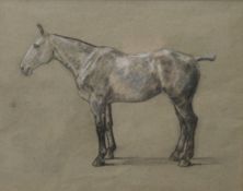 BIEGEL, PETER (1913-1989) British (AR), Horse, pastel, framed and glazed. 29 x 37 cm.