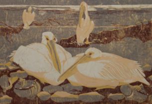 HALL, PAULINE SOPHIE (1918-2007) British (AR), Pelicans, woodcut on handmade paper, artist's proof,