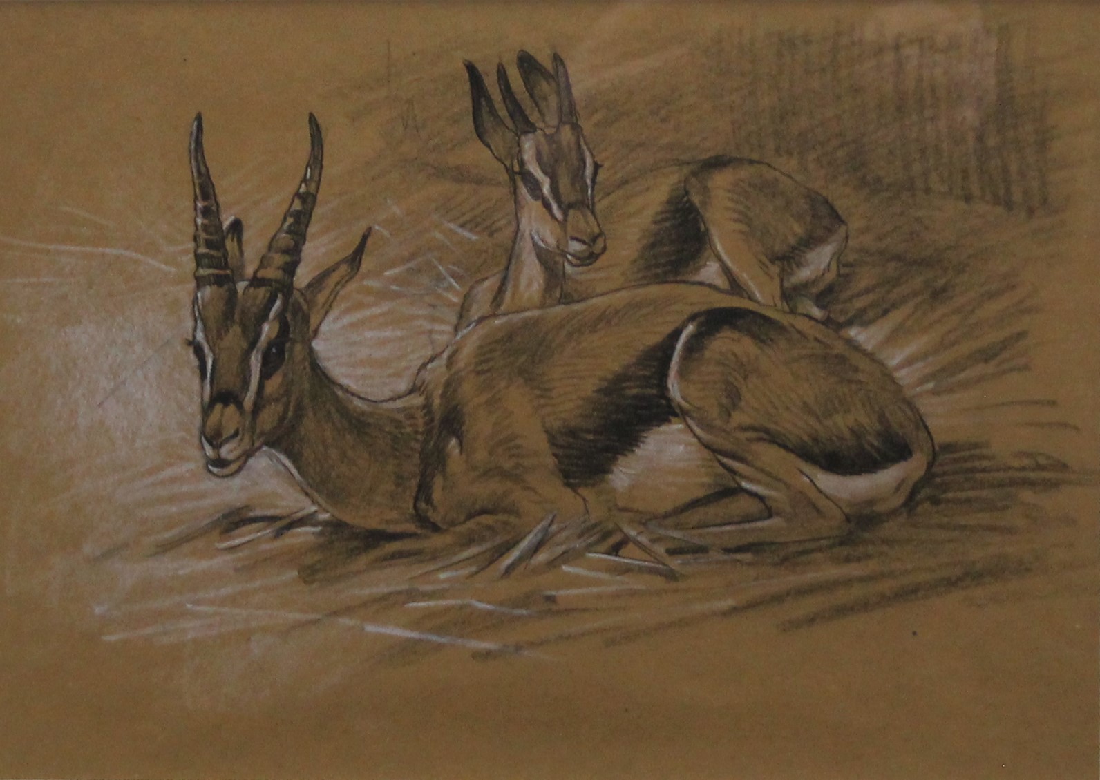 SHEPPARD, RAYMOND (1913-1958) British (AR), Thompson Gazells, crayon, framed and glazed. 19 x 27 cm.