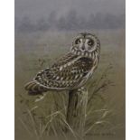 BOYER, TREVOR, (born 1948) British (AR), Short Eared Owl, acrylic, signed, framed and glazed.