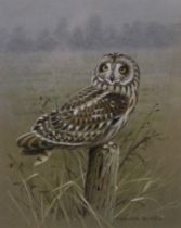 BOYER, TREVOR, (born 1948) British (AR), Short Eared Owl, acrylic, signed, framed and glazed.